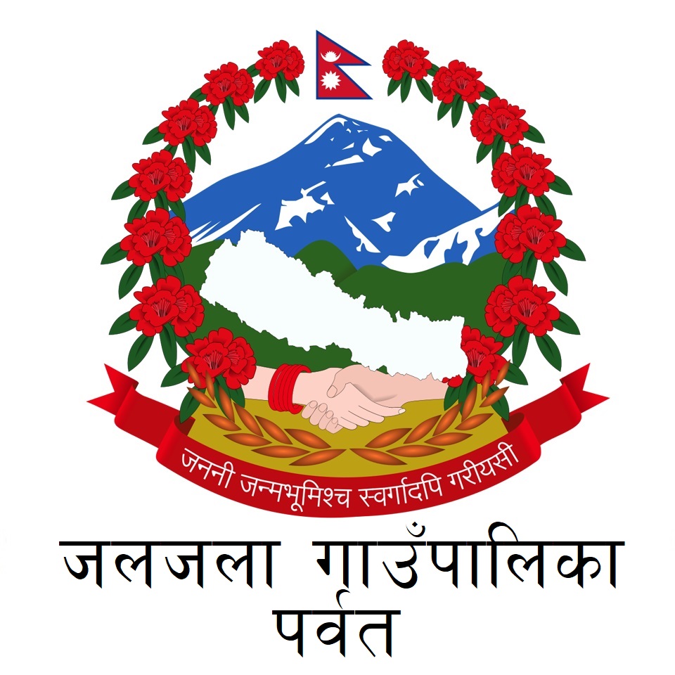 Local Government Logo